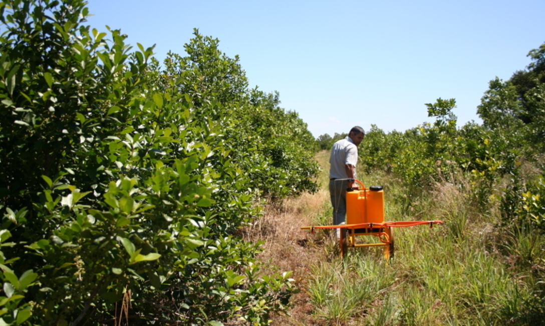 Todos los organismos vinculados al agro cuentan con técnicos que pueden asesorar en el uso de productos fitosanitarios. Todos los organismos vinculados al agro cuentan con técnicos que pueden asesorar en el uso de productos fitosanitarios.