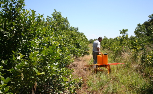 Todos los organismos vinculados al agro cuentan con técnicos que pueden asesorar en el uso de productos fitosanitarios.