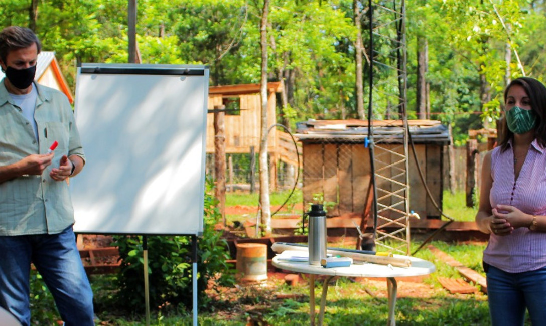 Imagen de La  yerba mate combinada con &aacute;rboles nativos es m&aacute;s resistente a la sequ&iacute;a