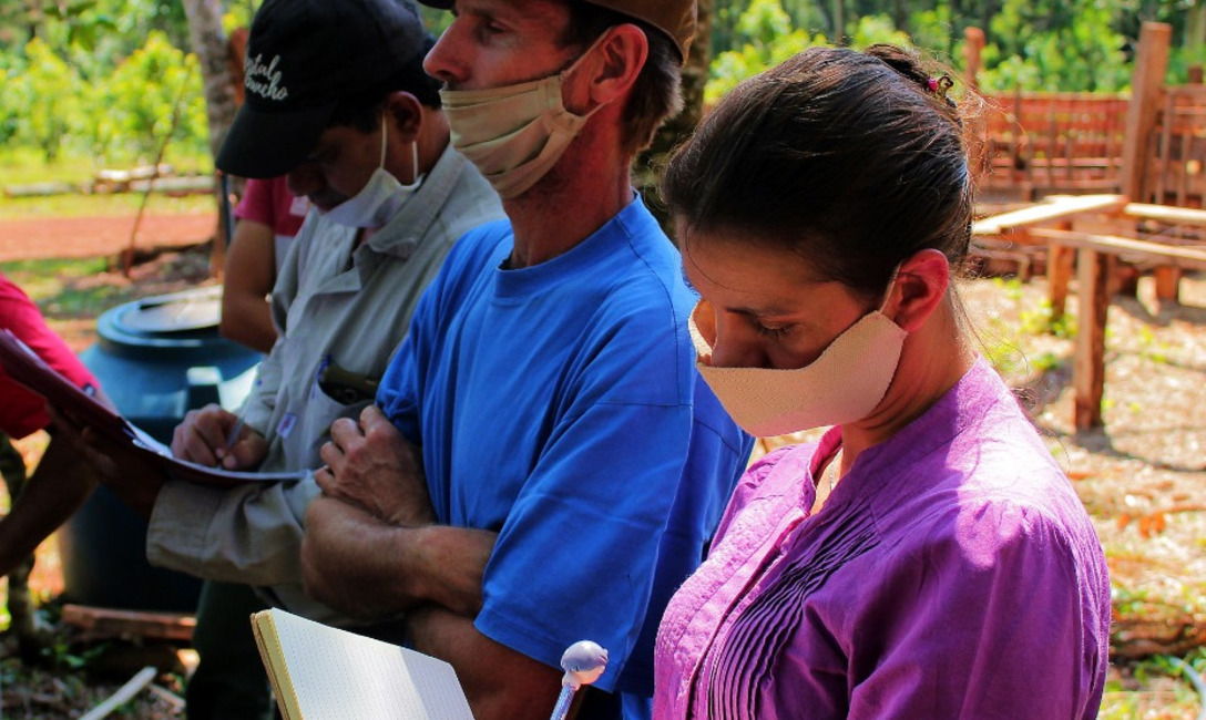 Imagen de La  yerba mate combinada con &aacute;rboles nativos es m&aacute;s resistente a la sequ&iacute;a