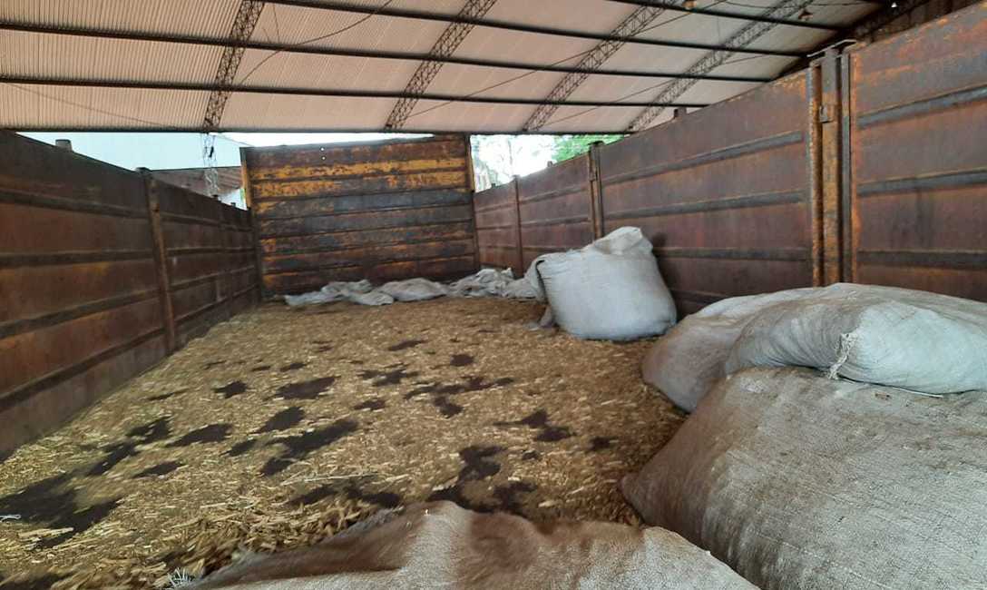 Imagen de Nuevos operativos de intervención e inutilización de palitos de yerba mate Imagen de Nuevos operativos de intervención e inutilización de palitos de yerba mate