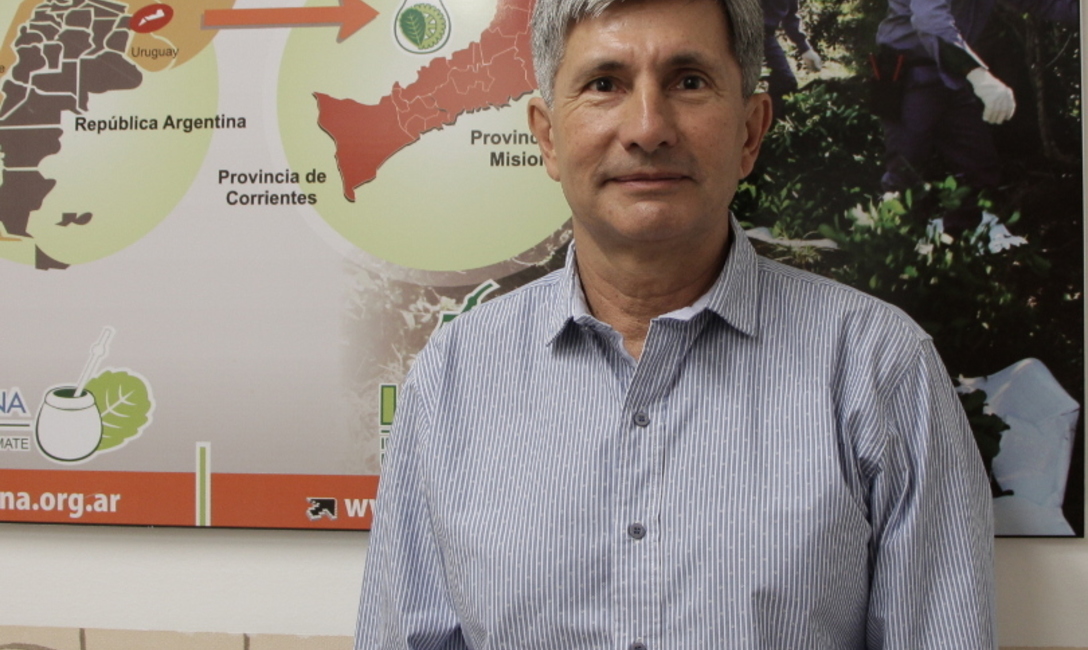 Imagen de El INYM controlará la calidad de la yerba canchada importada Imagen de El INYM controlará la calidad de la yerba canchada importada