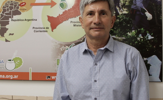 Imagen de El INYM controlará  la calidad de la yerba canchada importada