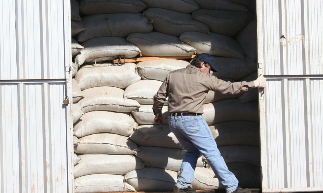 Imagen de El INYM controlará la calidad de la yerba canchada importada Imagen de El INYM controlará la calidad de la yerba canchada importada