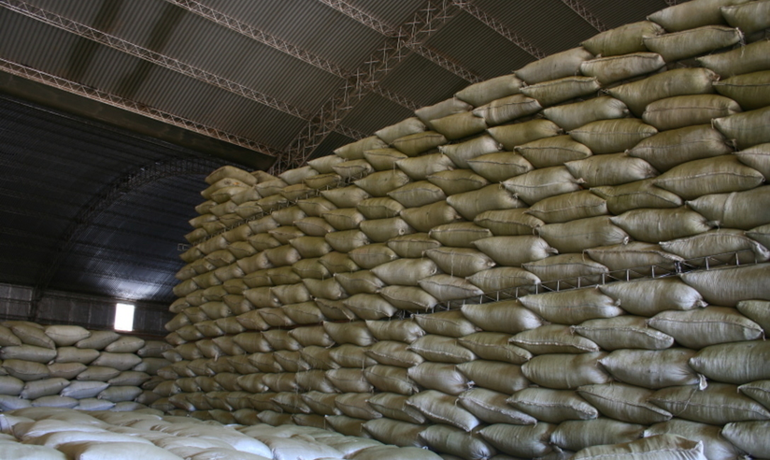 Imagen de El INYM controlará la calidad de la yerba canchada importada Imagen de El INYM controlará la calidad de la yerba canchada importada