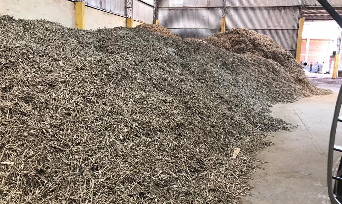 Imagen de Intervenimos 25 mil kilos de palitos de yerba mate en Apóstoles Imagen de Intervenimos 25 mil kilos de palitos de yerba mate en Apóstoles