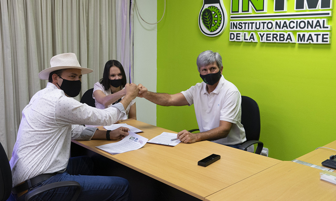 Imagen de Desarrollar&aacute;n una tijera autom&aacute;tica para cosecha de yerba mate