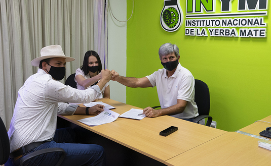 Imagen de Desarrollarán una tijera automática para cosecha de yerba mate