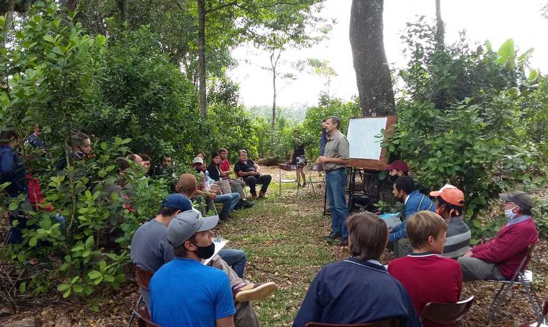 Imagen de Capacitaci&oacute;n sobre producci&oacute;n de yerba mate combinada con otros &aacute;rboles nativos