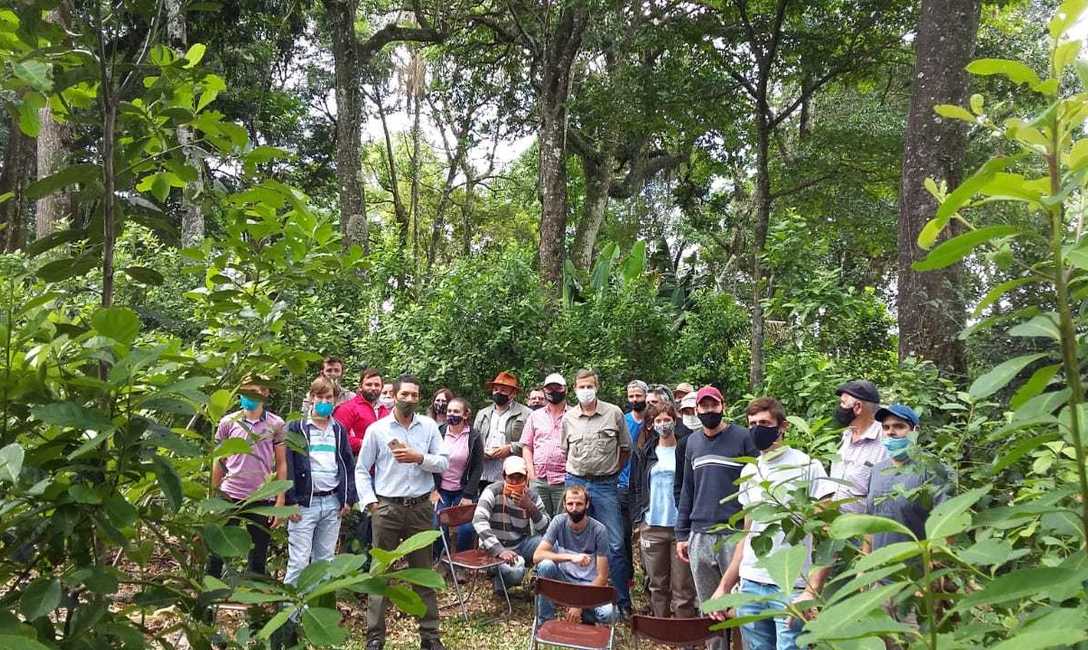 Imagen de Capacitaci&oacute;n sobre producci&oacute;n de yerba mate combinada con otros &aacute;rboles nativos
