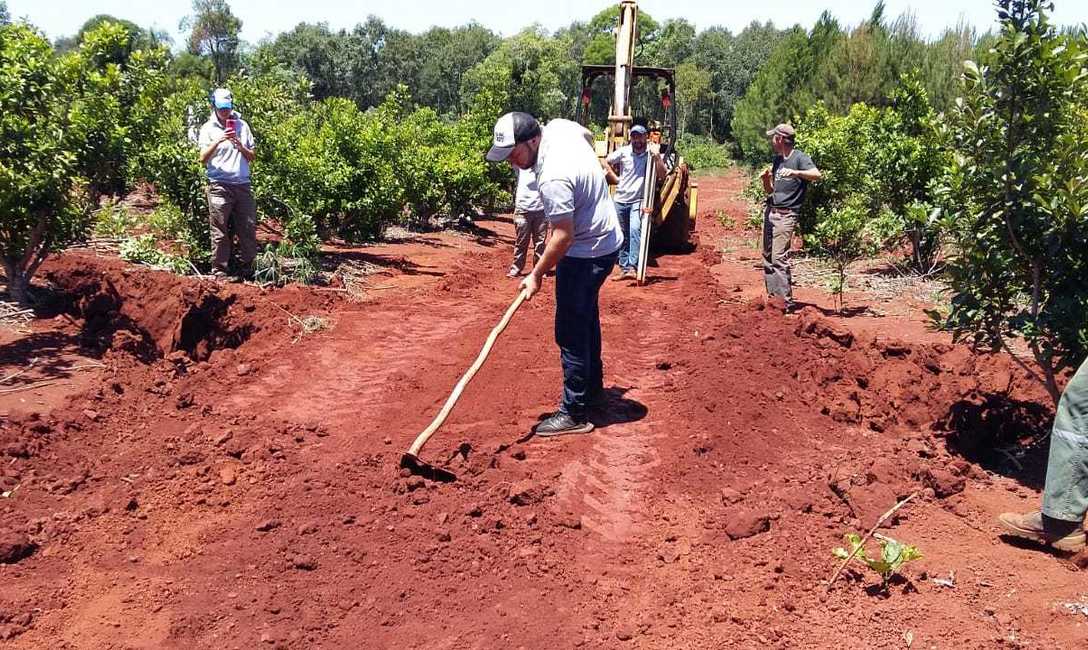 Imagen de Trabajo en los caminos para frenar la erosi&oacute;n y devolver productividad al yerbal