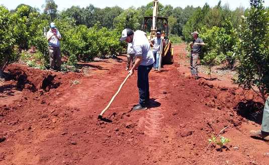 Imagen de Trabajo en los caminos para frenar la erosión y devolver productividad al yerbal