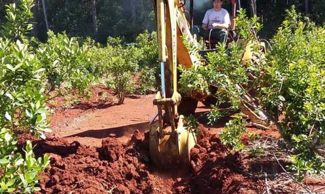 Imagen de Trabajo en los caminos para frenar la erosi&oacute;n y devolver productividad al yerbal