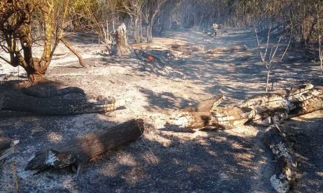 Imagen de Se reitera: hay que evitar el fuego y la cosecha ante la ausencia de lluvias Imagen de Se reitera: hay que evitar el fuego y la cosecha ante la ausencia de lluvias