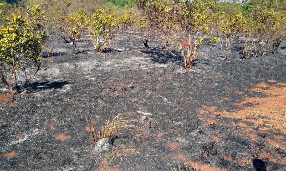 Imagen de Se reitera: hay que evitar el fuego y la cosecha ante la ausencia de lluvias Imagen de Se reitera: hay que evitar el fuego y la cosecha ante la ausencia de lluvias