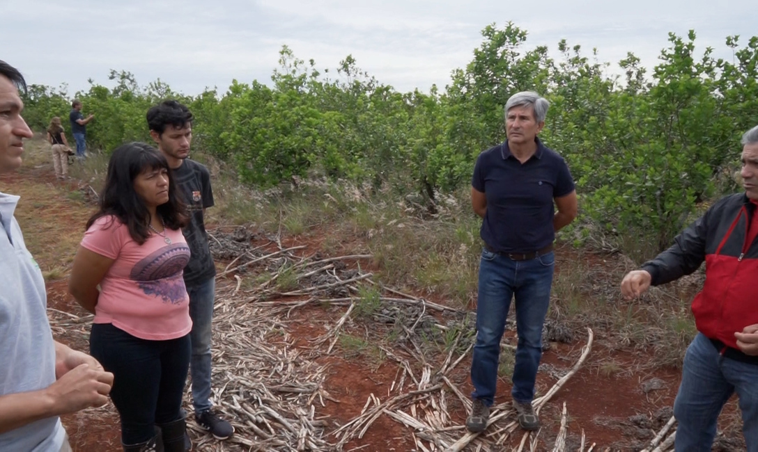 En la chacra. El t&eacute;cnico Pablo Herrera, Sara Cardozo y uno de sus hijos, Juan Jos&eacute; Szychowski y Nelson Dalcolmo