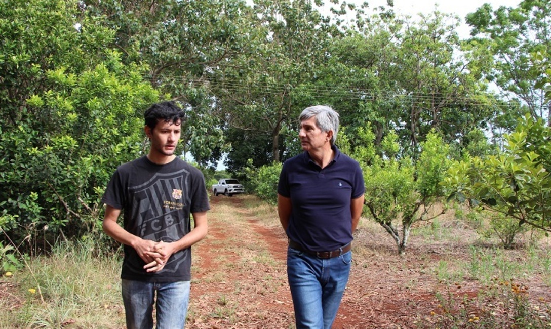 Imagen de Volver a la chacra y apostar a la yerba mate