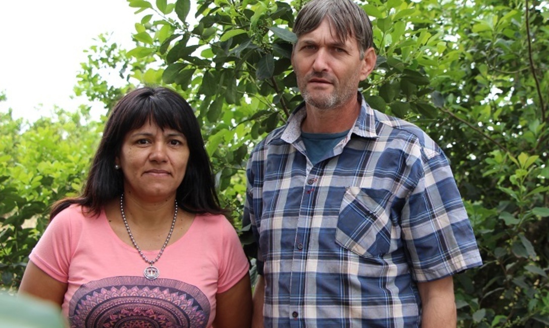 Imagen de Volver a la chacra y apostar a la yerba mate