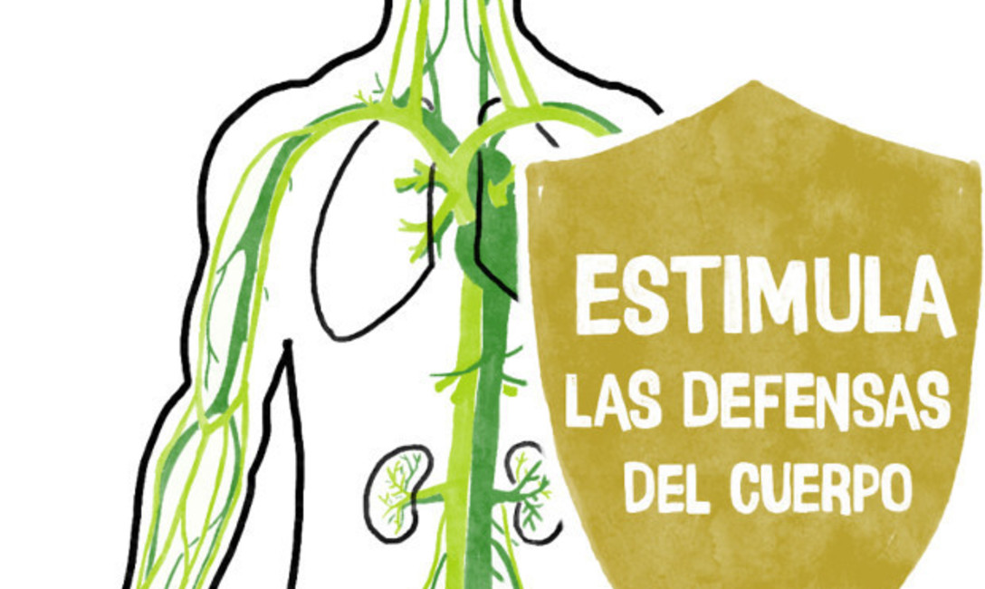 Bebida saludable: poderoso antioxidante, baja el colesterol, protege el corazón y reduce el riesgo de diabetes tipo 2. Bebida saludable: poderoso antioxidante, baja el colesterol, protege el corazón y reduce el riesgo de diabetes tipo 2.