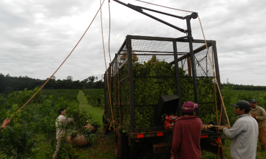 Guinches para Productores y Prestadores de Servicio de Cosecha y Flete.