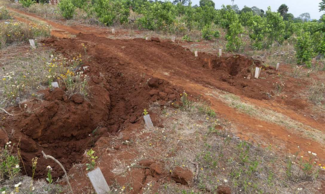Los lomos de burro derivan el agua de lluvia a pozos de decantación. Los lomos de burro derivan el agua de lluvia a pozos de decantación.