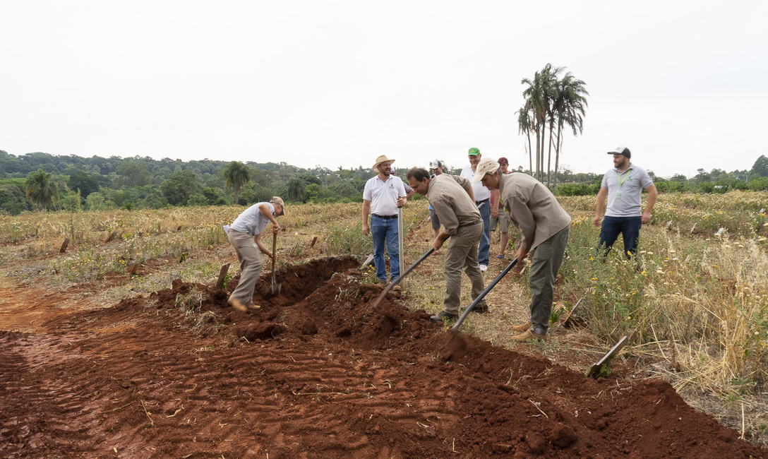 Con estas obras se frena la erosión. Con estas obras se frena la erosión.