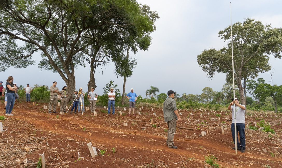Los primeros 20 cm del suelo, son los más fértiles. Los primeros 20 cm del suelo, son los más fértiles.