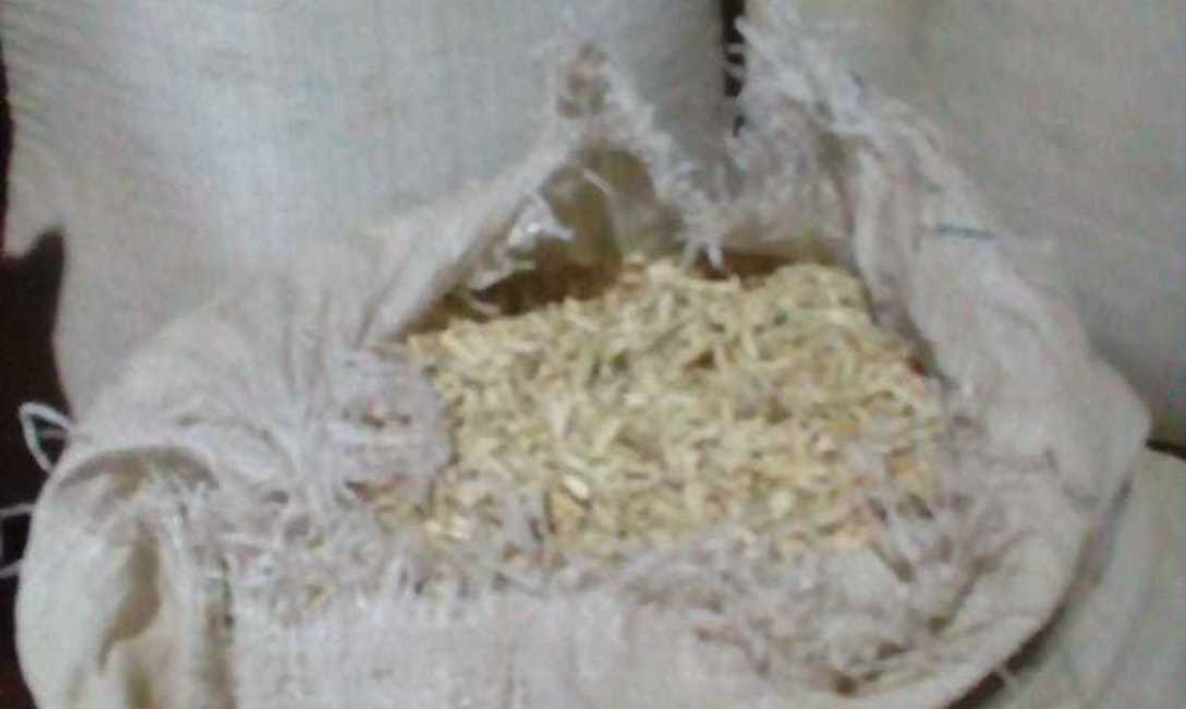 Imagen de El INYM intervino yerba canchada y palo de yerba en Campo Grande, Misiones