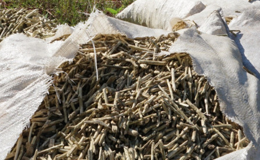 Imagen de Intervenimos otra carga de palos y yerba canchada