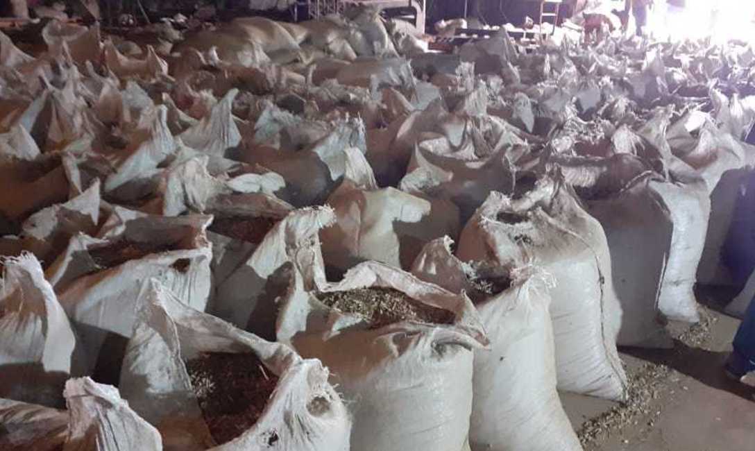 Imagen de Intervenimos otra carga de palos y yerba canchada Imagen de Intervenimos otra carga de palos y yerba canchada