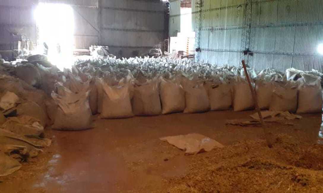 Imagen de Intervenimos otra carga de palos y yerba canchada Imagen de Intervenimos otra carga de palos y yerba canchada