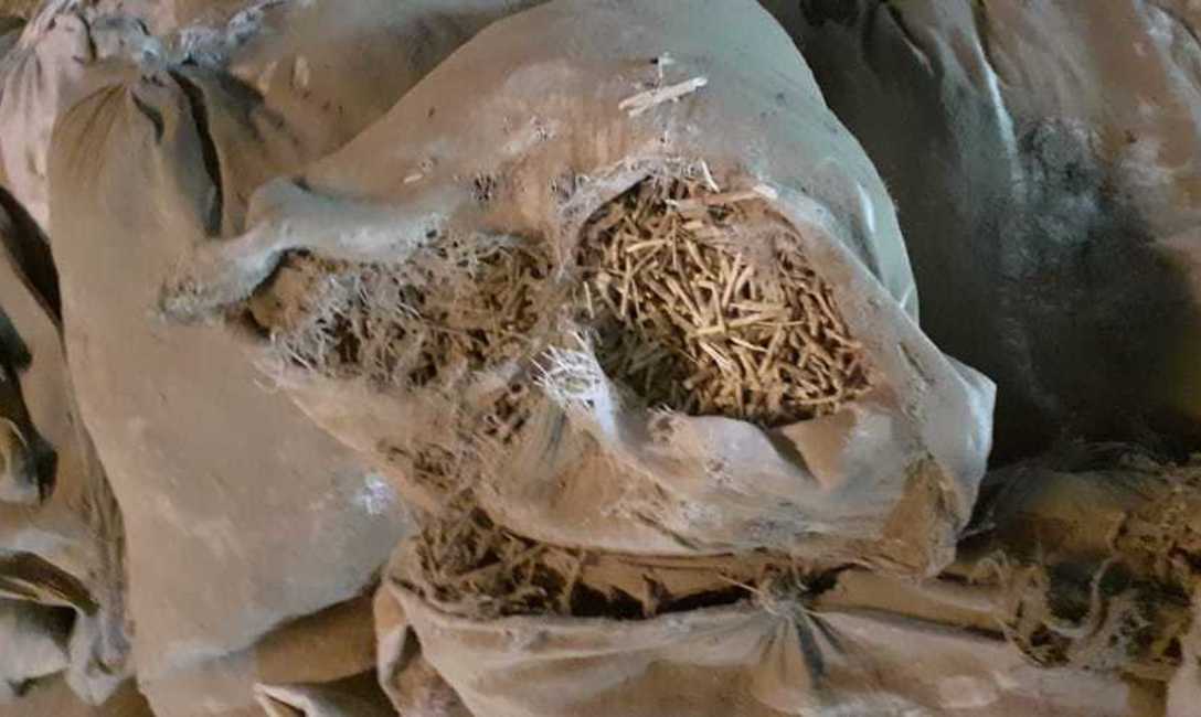 Imagen de Intervenimos otra carga de palos y yerba canchada Imagen de Intervenimos otra carga de palos y yerba canchada