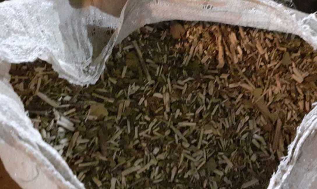 Imagen de Intervenimos otra carga de palos y yerba canchada Imagen de Intervenimos otra carga de palos y yerba canchada