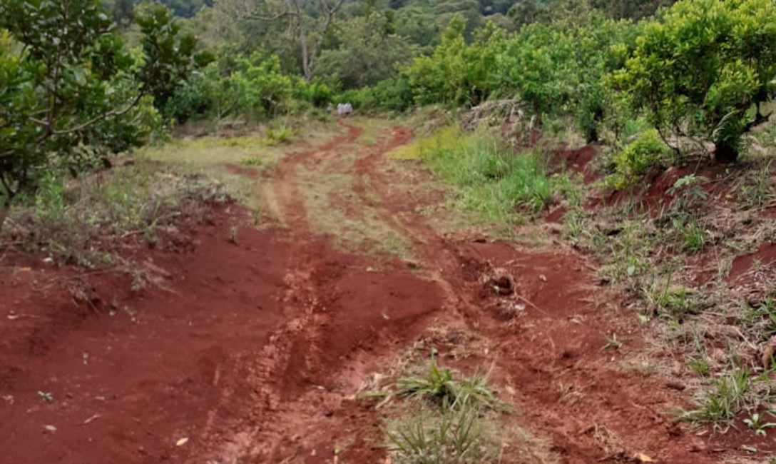 Imagen de Capacitación para retener agua de lluvia y evitar erosión Imagen de Capacitación para retener agua de lluvia y evitar erosión
