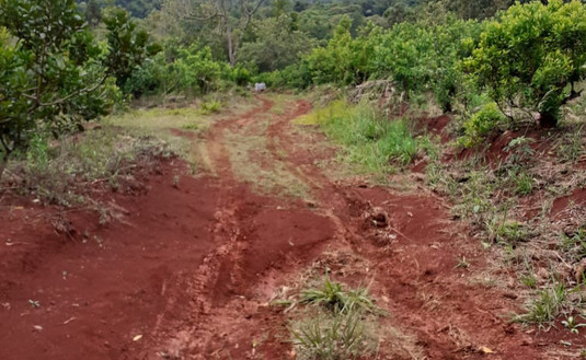 Imagen de Capacitación para retener agua de lluvia y evitar erosión