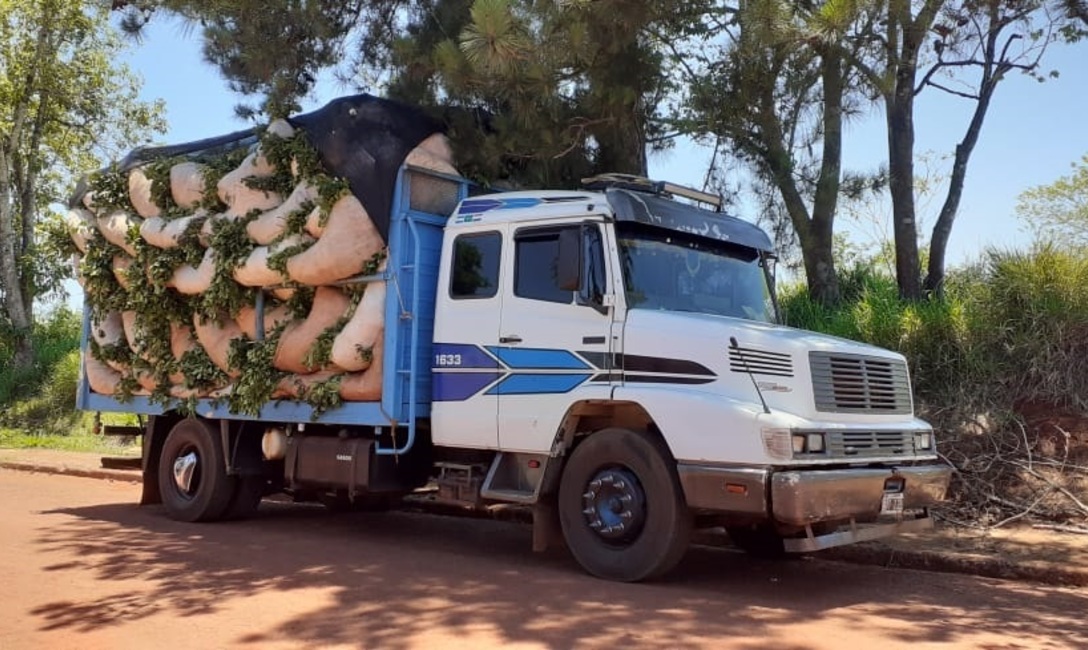 Imagen de Un camión con raídos de hoja verde fue secuestrado Imagen de Un camión con raídos de hoja verde fue secuestrado