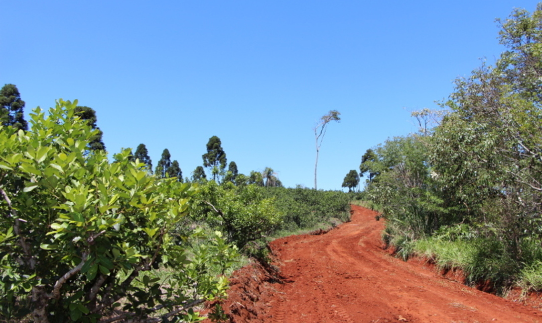 Los lomos y pozos de agua se hacen a 20 o 35 metros de distancia entre si, según la pendiente del camino. Los lomos y pozos de agua se hacen a 20 o 35 metros de distancia entre si, según la pendiente del camino.