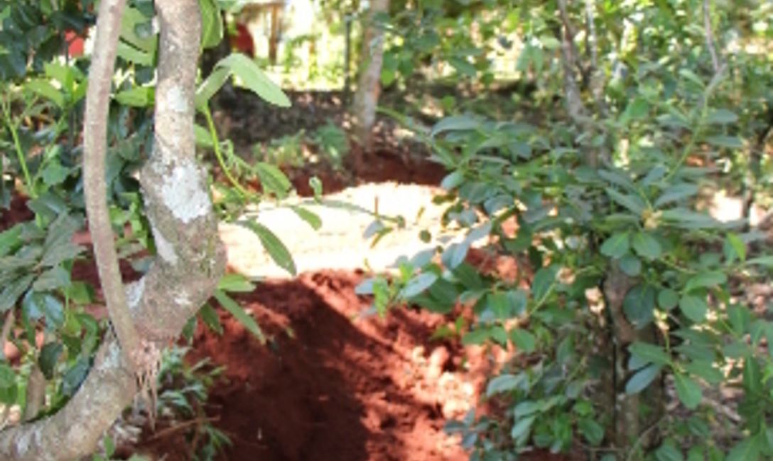 Pozo receptor de agua. Pozo receptor de agua.