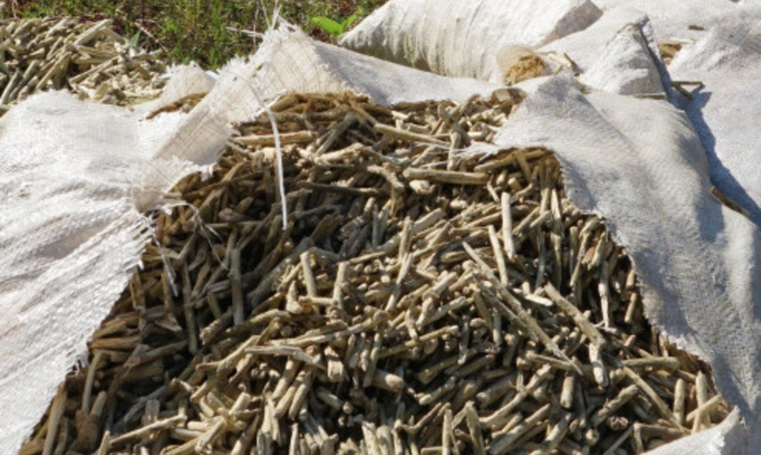 Imagen de Desbaratan el millonario negocio de los palitos de yerba mate Imagen de Desbaratan el millonario negocio de los palitos de yerba mate