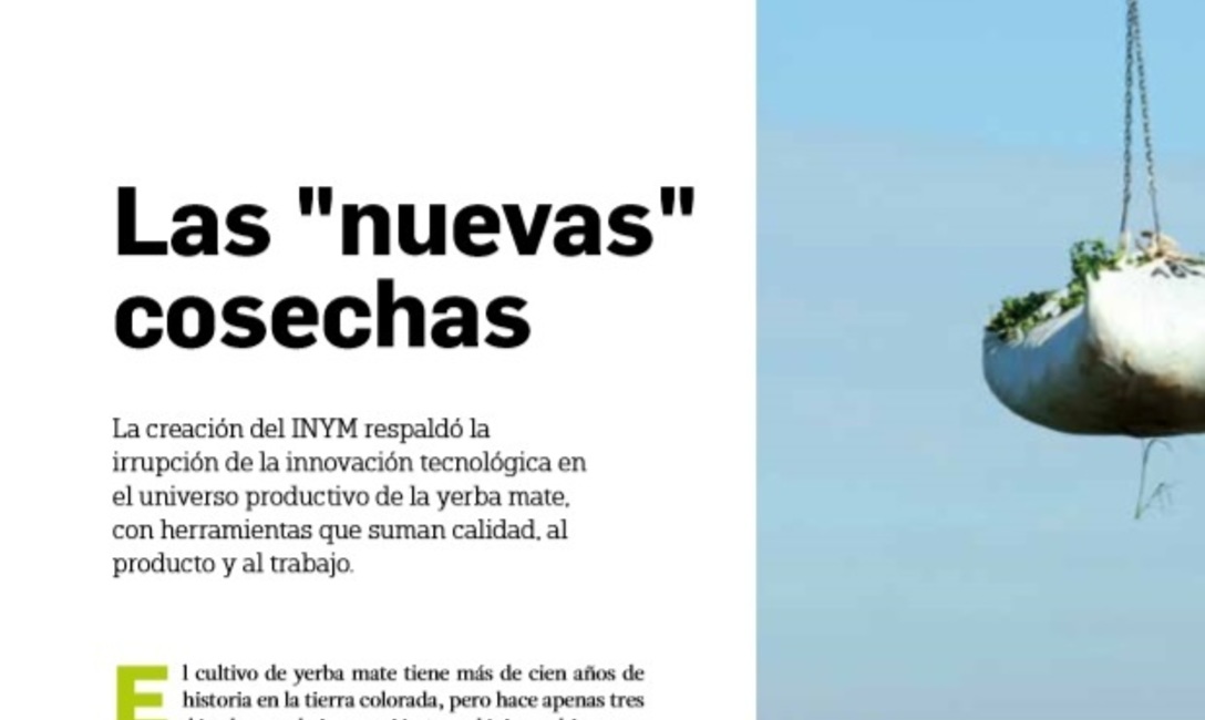 Imagen de Un presente sólido y un futuro sin techo Imagen de Un presente sólido y un futuro sin techo