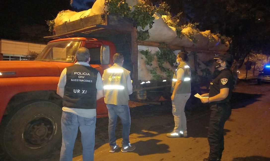 Imagen de Intervenimos 4.000 mil kilos de hoja verde en Aristóbulo del Valle Imagen de Intervenimos 4.000 mil kilos de hoja verde en Aristóbulo del Valle