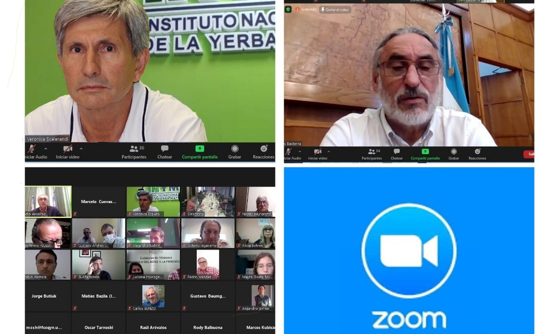 Imagen de Se oficializó la revisión y actualización del Plan Estratégico para el Sector Yerbatero Imagen de Se oficializó la revisión y actualización del Plan Estratégico para el Sector Yerbatero