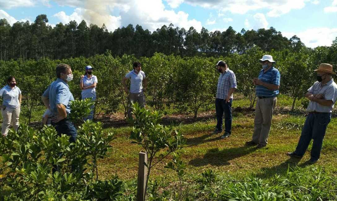 La capacitación incluyó visita a chacras para reconocimiento de plagas y estado sanitario de los cultivos. La capacitación incluyó visita a chacras para reconocimiento de plagas y estado sanitario de los cultivos.