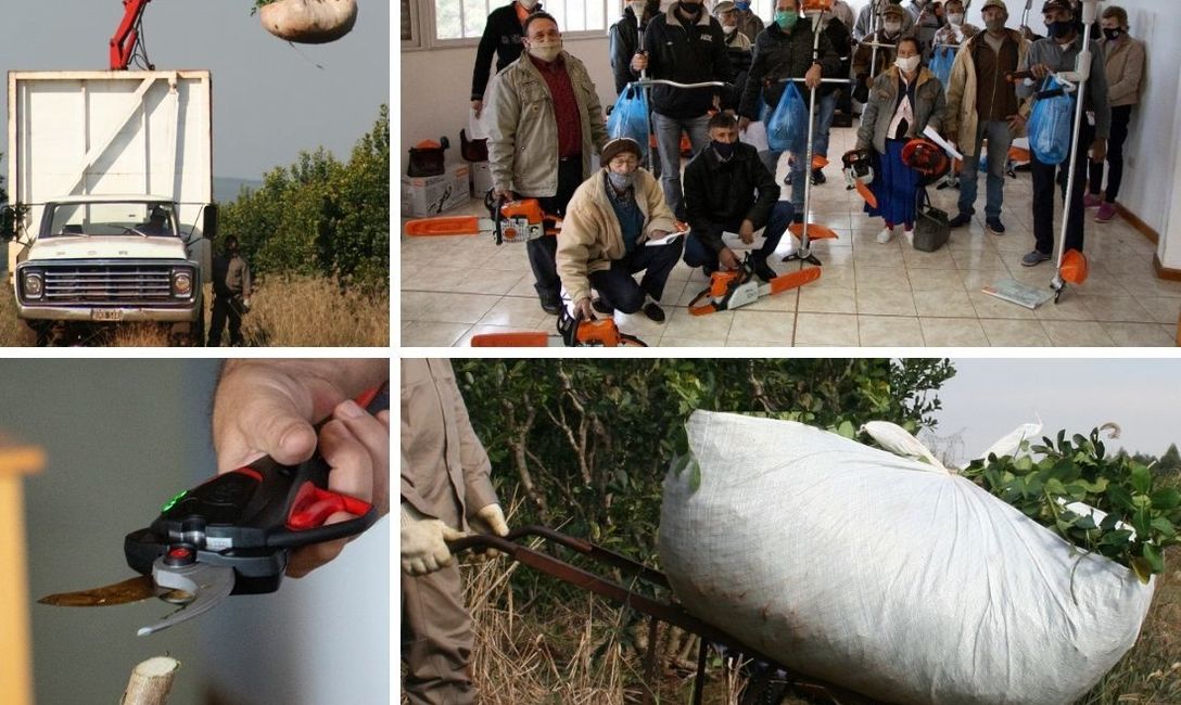 Imagen de Actualizamos los montos de los programas y planes que benefician al sector yerbatero