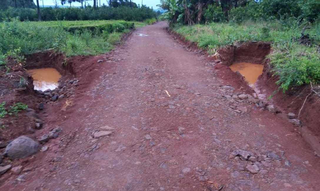 Camino en la chacra de Luchuk, nivelado y con canaletas y lomadas con pozos receptores construidos a principio de diciembre pasado.