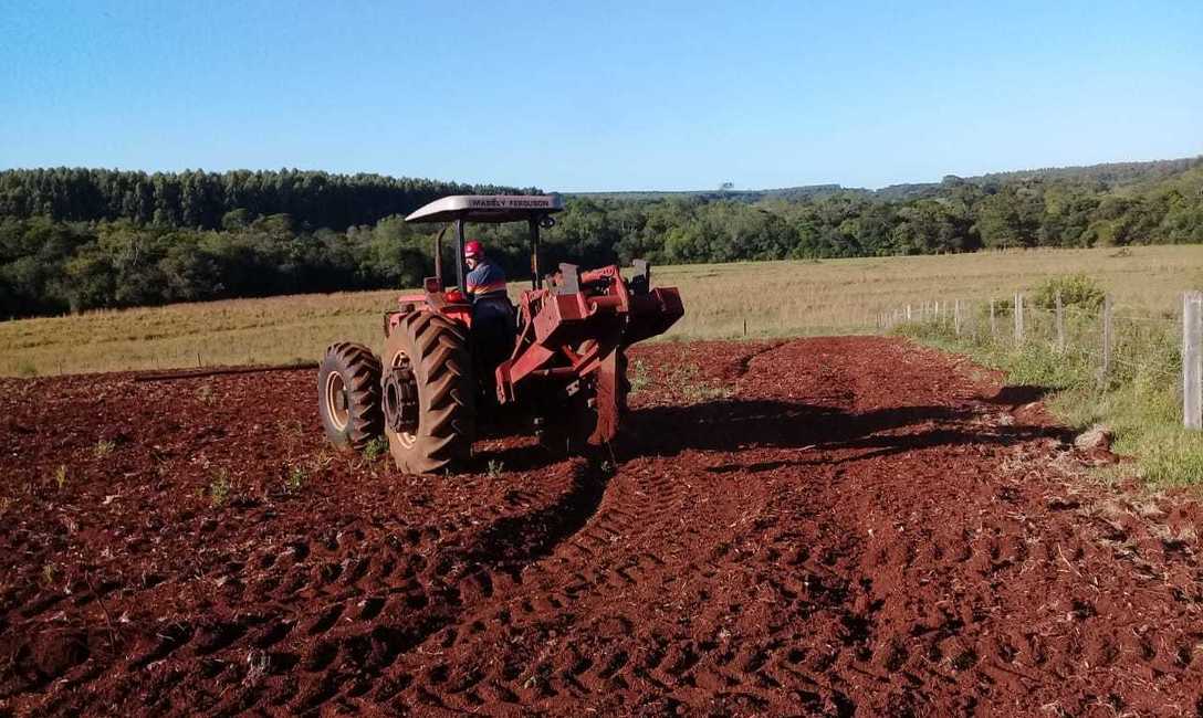 Las taipas se construyen para desagotar el agua de escorrentia. Foto del t&eacute;cnico Alejandro Gim&eacute;nez.