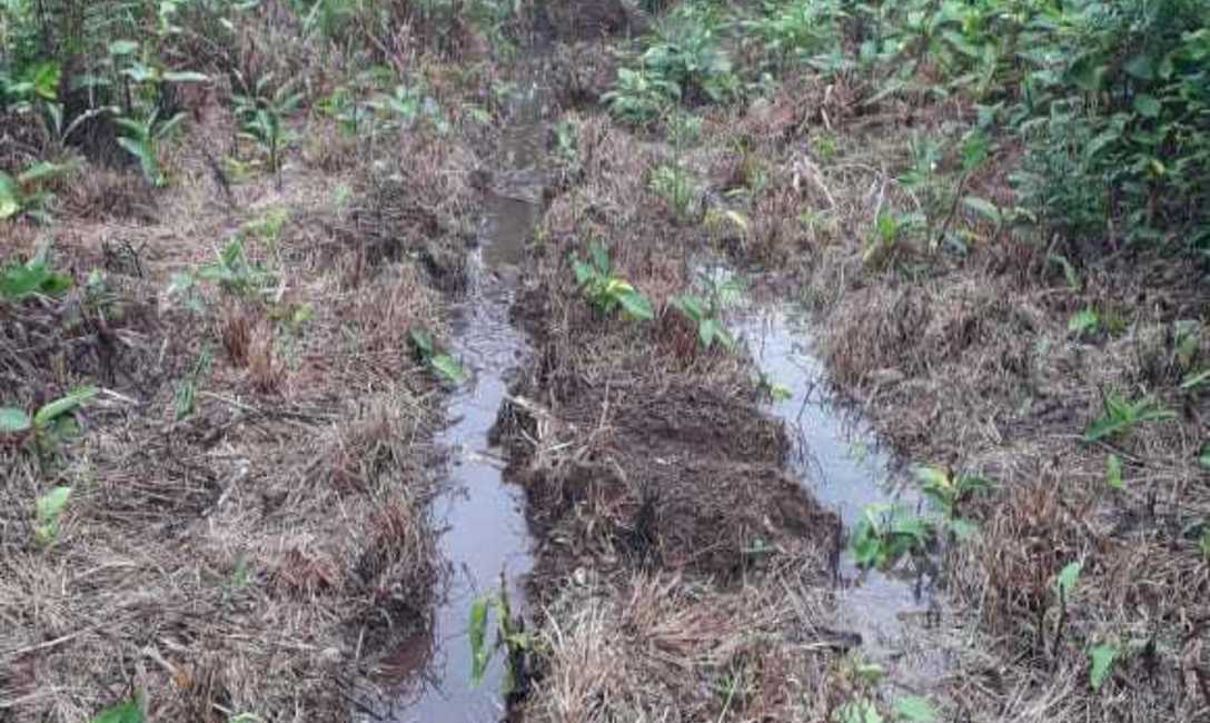 En esta foto se puede ver el exceso de agua precipitada; es agua limpia, que corre a menor velocidad y no arrastra suelo gracias al manejo de cubierta espont&aacute;nea.