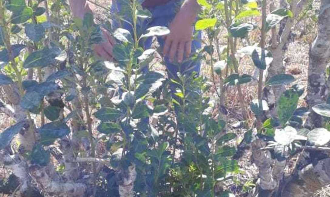 Guillermo Bartel opt&oacute; por dedicarse exclusivamente a la chacra (foto archivo).