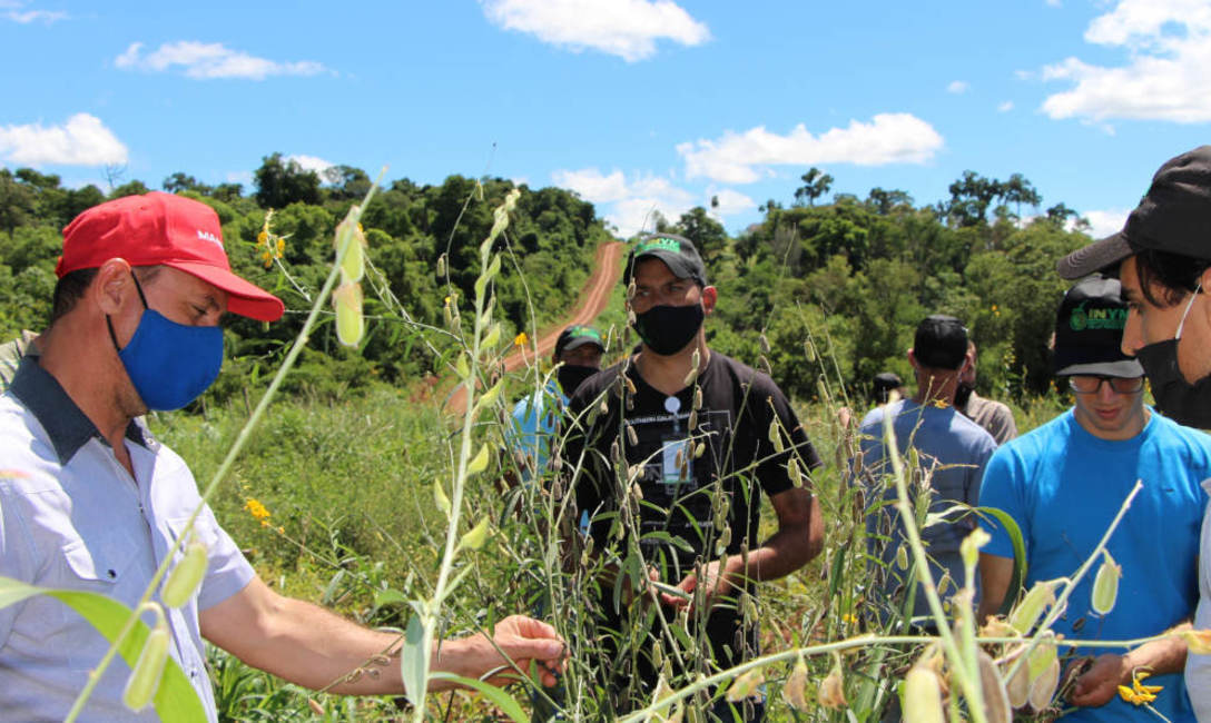 Productores, el director Jon&aacute;s Petterson y t&eacute;cnicos del INYM en la chacra de Juan Jones, donde el suelo se recupera con cubiertas verdes.