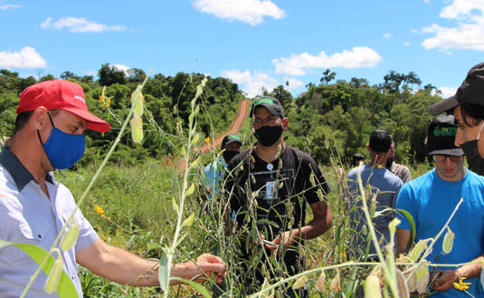 Productores, el director Jon&aacute;s Petterson y t&eacute;cnicos del INYM en la chacra de Juan Jones, donde el suelo se recupera con cubiertas verdes.